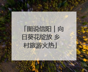 图说信阳｜向日葵花绽放 乡村旅游火热