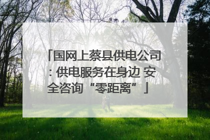 国网上蔡县供电公司：供电服务在身边 安全咨询“零距离”