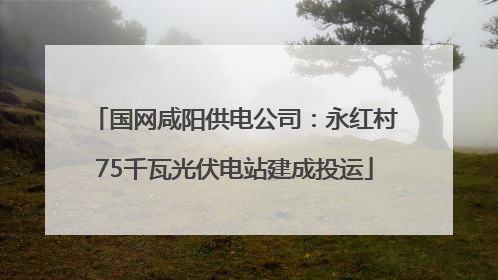 国网咸阳供电公司：永红村75千瓦光伏电站建成投运