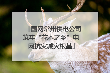国网常州供电公司筑牢“花木之乡”电网抗灾减灾根基