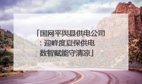 国网平舆县供电公司：迎峰度夏保供电  数智赋能守清凉