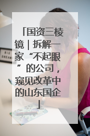 国资三棱镜｜拆解一家“不起眼”的公司，窥见改革中的山东国企