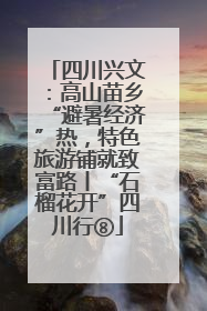 四川兴文：高山苗乡“避暑经济”热，特色旅游铺就致富路丨“石榴花开”四川行⑧