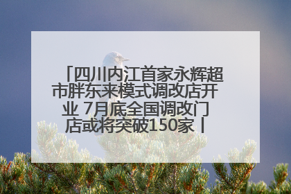 四川内江首家永辉超市胖东来模式调改店开业 7月底全国调改门店或将突破150家丨新经济观察