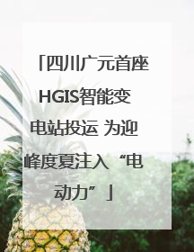 四川广元首座HGIS智能变电站投运 为迎峰度夏注入“电动力”