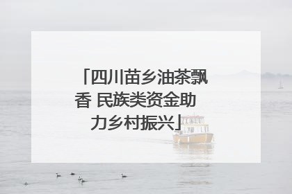 四川苗乡油茶飘香 民族类资金助力乡村振兴