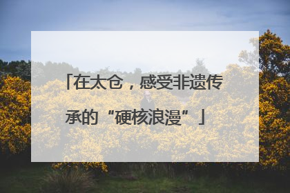 在太仓，感受非遗传承的“硬核浪漫”