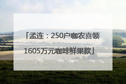 孟连：250户咖农喜领1605万元咖啡鲜果款