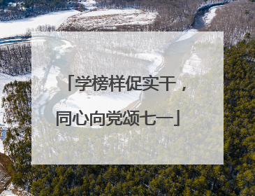 学榜样促实干，同心向党颂七一