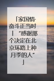 家国情·奋斗正当时丨“感谢那个决定在北京环路上种月季的人”