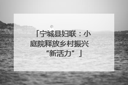 宁城县妇联：小庭院释放乡村振兴“新活力”