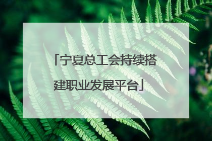 宁夏总工会持续搭建职业发展平台