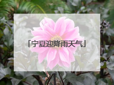 宁夏迎降雨天气