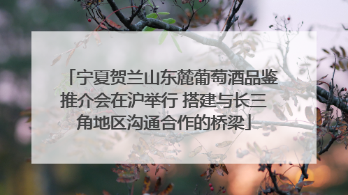 宁夏贺兰山东麓葡萄酒品鉴推介会在沪举行 搭建与长三角地区沟通合作的桥梁