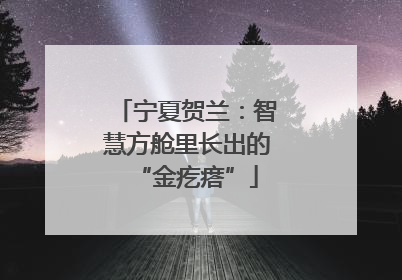 宁夏贺兰：智慧方舱里长出的“金疙瘩”