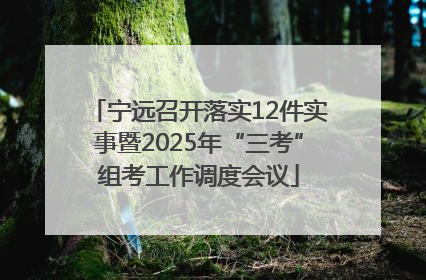 宁远召开落实12件实事暨2025年“三考”组考工作调度会议