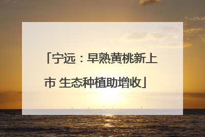 宁远：早熟黄桃新上市 生态种植助增收