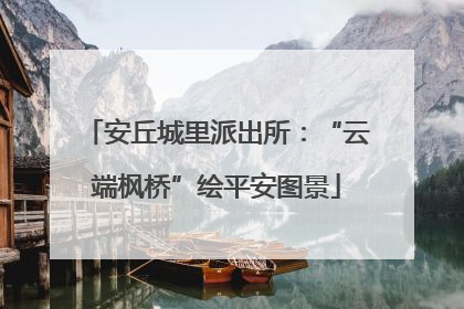安丘城里派出所：“云端枫桥”绘平安图景