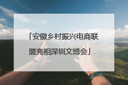 安徽乡村振兴电商联盟亮相深圳文博会