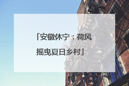 安徽休宁：荷风摇曳夏日乡村