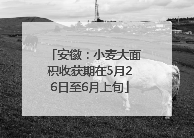 安徽：小麦大面积收获期在5月26日至6月上旬