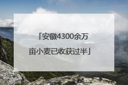 安徽4300余万亩小麦已收获过半
