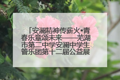 安澜精神传薪火•青春乐章颂未来——芜湖市第二中学安澜中学生管乐团第十二届公益展演圆满举行