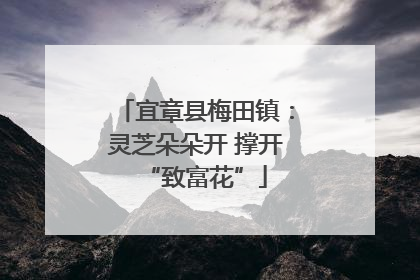 宜章县梅田镇：灵芝朵朵开 撑开“致富花”