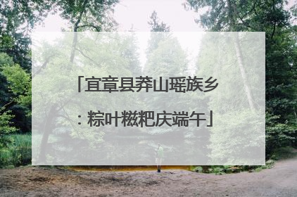 宜章县莽山瑶族乡：粽叶糍粑庆端午