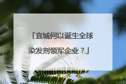 宜城何以诞生全球染发剂领军企业？
