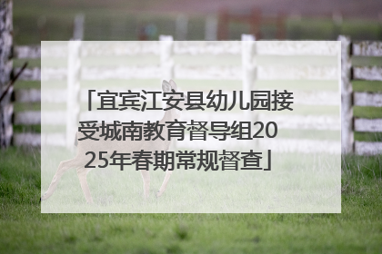 宜宾江安县幼儿园接受城南教育督导组2025年春期常规督查