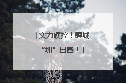 实力硬控！鲤城“圳”出圈！