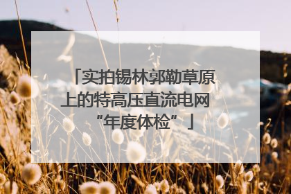 实拍锡林郭勒草原上的特高压直流电网“年度体检”