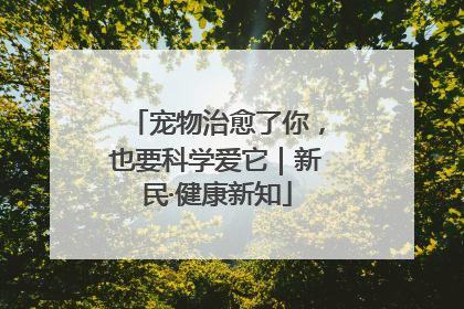 宠物治愈了你，也要科学爱它｜新民·健康新知