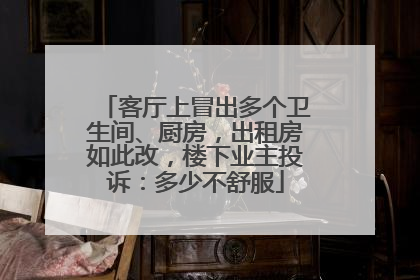 客厅上冒出多个卫生间、厨房，出租房如此改，楼下业主投诉：多少不舒服
