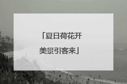 夏日荷花开 美景引客来