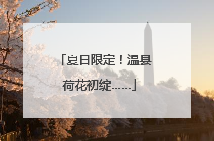 夏日限定！温县荷花初绽……