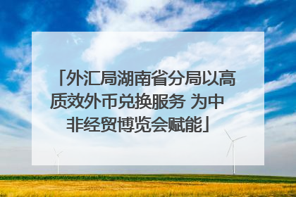 外汇局湖南省分局以高质效外币兑换服务 为中非经贸博览会赋能