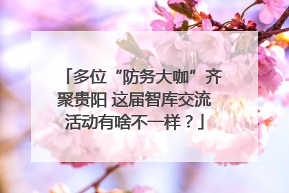 多位“防务大咖”齐聚贵阳 这届智库交流活动有啥不一样？