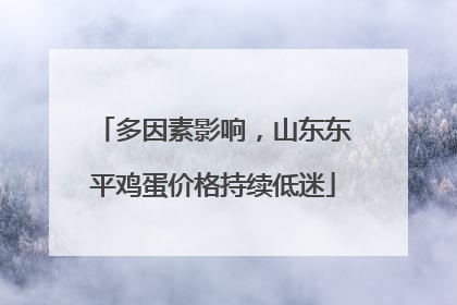 多因素影响，山东东平鸡蛋价格持续低迷