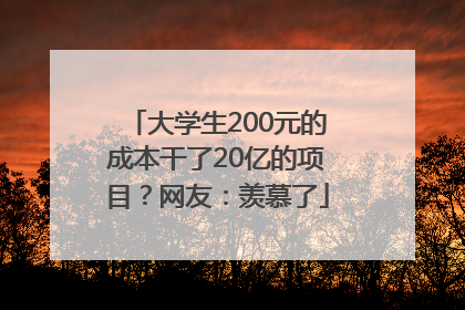 大学生200元的成本干了20亿的项目？网友：羡慕了