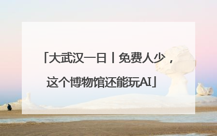 大武汉一日丨免费人少，这个博物馆还能玩AI