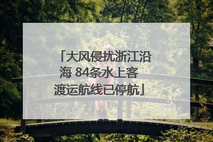 大风侵扰浙江沿海 84条水上客渡运航线已停航