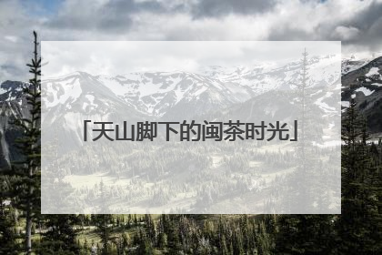 天山脚下的闽茶时光