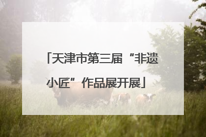 天津市第三届“非遗小匠”作品展开展