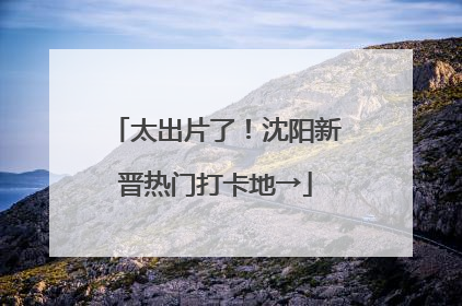 太出片了！沈阳新晋热门打卡地→