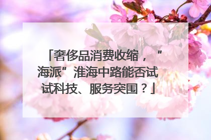 奢侈品消费收缩，“海派”淮海中路能否试试科技、服务突围？