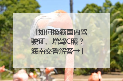 如何换领国内驾驶证、增驾C照？海南交警解答→