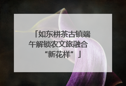 如东栟茶古镇端午解锁农文旅融合“新花样”