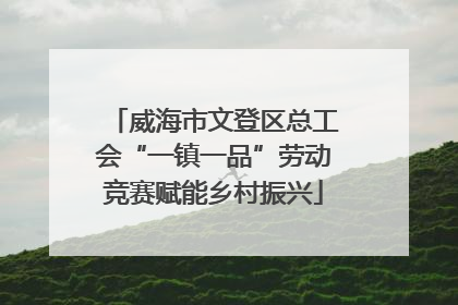 威海市文登区总工会“一镇一品”劳动竞赛赋能乡村振兴